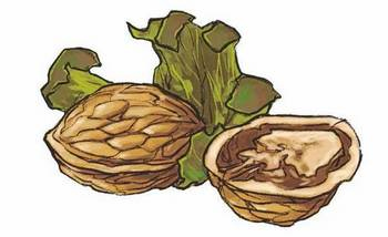 Иллюстрация к книге — История о погасших огнях [i_043.jpg]