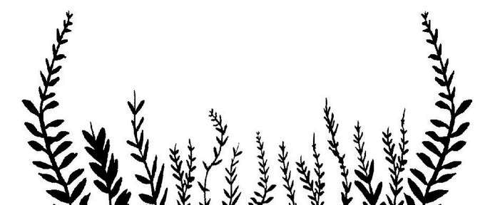 Иллюстрация к книге — Дитя звезд [i_003.jpg]