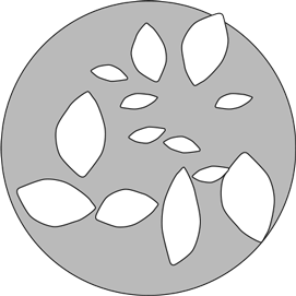 Иллюстрация к книге — Чувство стыда. Как перестать бояться быть неправильно воспринятым [i_003.jpg]