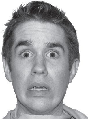 Иллюстрация к книге — Социальный интеллект. Новая наука о человеческих отношениях [i_001.jpg]