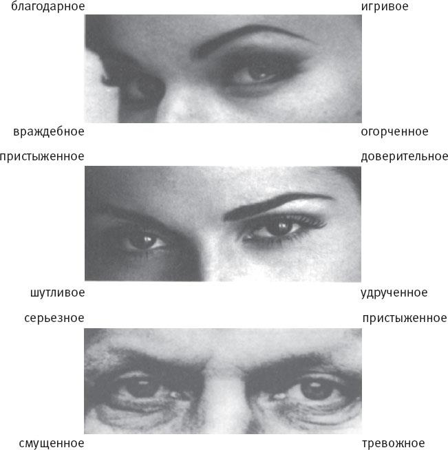 Иллюстрация к книге — Социальный интеллект. Новая наука о человеческих отношениях [i_003.jpg]