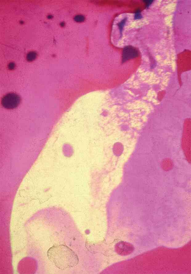 Иллюстрация к книге — Наизнанку. Личная история Pink Floyd [i_025.jpg]