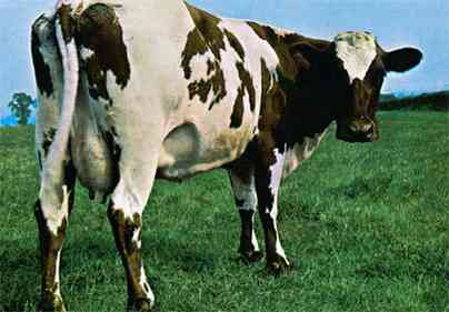 Иллюстрация к книге — Наизнанку. Личная история Pink Floyd [i_112.jpg]