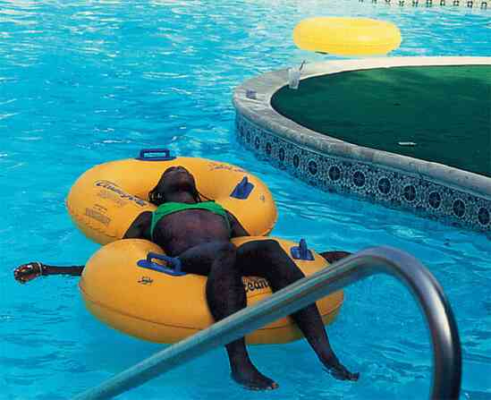 Иллюстрация к книге — Наизнанку. Личная история Pink Floyd [i_243.jpg]