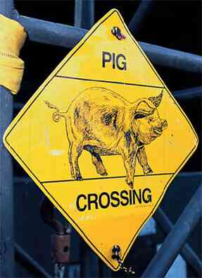 Иллюстрация к книге — Наизнанку. Личная история Pink Floyd [i_270.jpg]