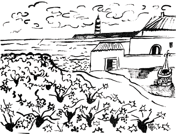 Иллюстрация к книге — Остров на всю жизнь. Воспоминания детства. Олерон во время нацистской оккупации [i_007.jpg]