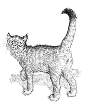 Иллюстрация к книге — Эликсир жизни [i_005.jpg]