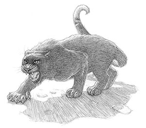 Иллюстрация к книге — Эликсир жизни [i_041.jpg]