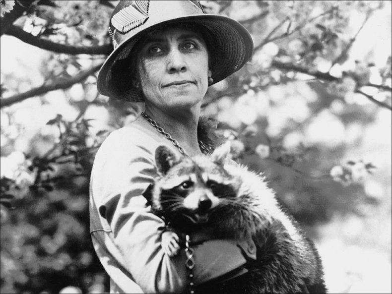 Иллюстрация к книге — Неизвестная жизнь мировых лидеров [i_016.jpg]