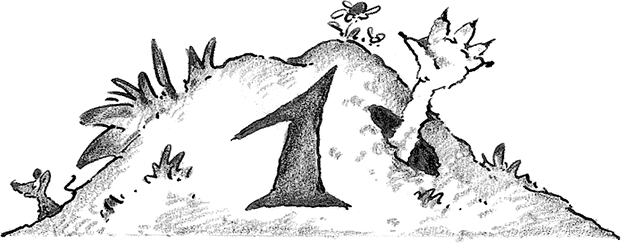 Иллюстрация к книге — Лохматый Коготь [i_002.jpg]