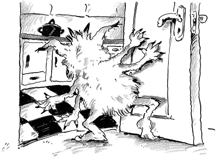 Иллюстрация к книге — Лохматый Коготь [i_021.jpg]