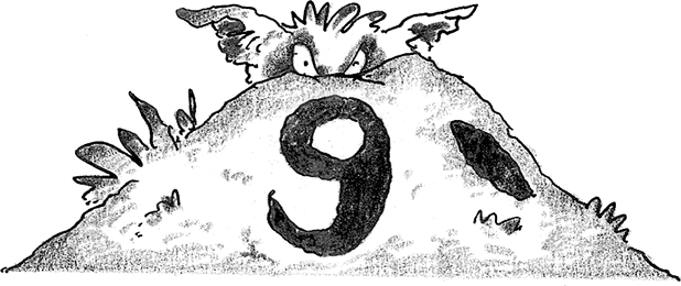 Иллюстрация к книге — Лохматый Коготь [i_026.jpg]