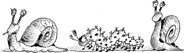 Иллюстрация к книге — Лохматый Коготь [i_030.jpg]