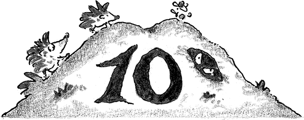 Иллюстрация к книге — Лохматый Коготь [i_031.jpg]