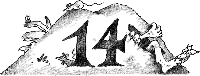 Иллюстрация к книге — Лохматый Коготь [i_049.jpg]