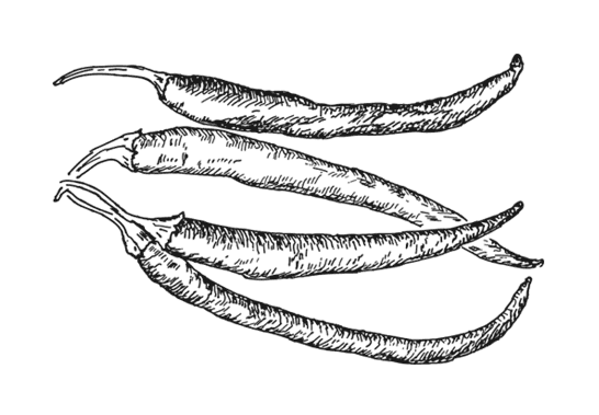 Иллюстрация к книге — Ужин с Медичи. О власти, страсти и бисквите [i_004.jpg]