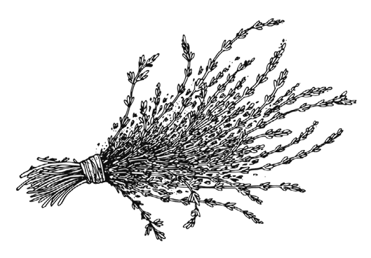 Иллюстрация к книге — Ужин с Медичи. О власти, страсти и бисквите [i_012.jpg]