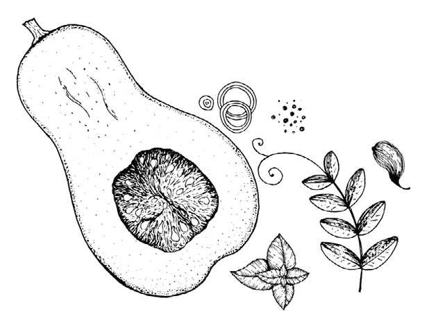 Иллюстрация к книге — Ужин с Медичи. О власти, страсти и бисквите [i_029.jpg]