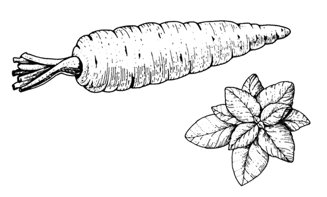 Иллюстрация к книге — Ужин с Медичи. О власти, страсти и бисквите [i_046.jpg]