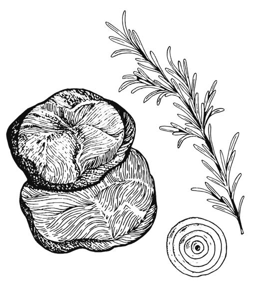 Иллюстрация к книге — Ужин с Медичи. О власти, страсти и бисквите [i_057.jpg]