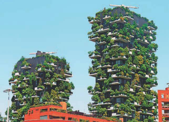 Иллюстрация к книге — Город как безумие. Как архитектура влияет на наши эмоции, здоровье, жизнь [i_022.jpg]