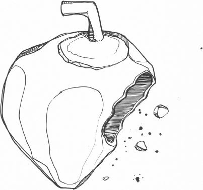 Иллюстрация к книге — Как Coca-Cola завоевала мир. 101 успешный кейс от брендов с мировым именем [i_023.jpg]