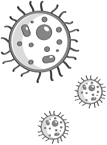 Иллюстрация к книге — Пищеварение. Как у вас с ним? Все о тесной взаимосвязи между нашим здоровьем и тем, что, сколько и когда мы едим [i_002.jpg]