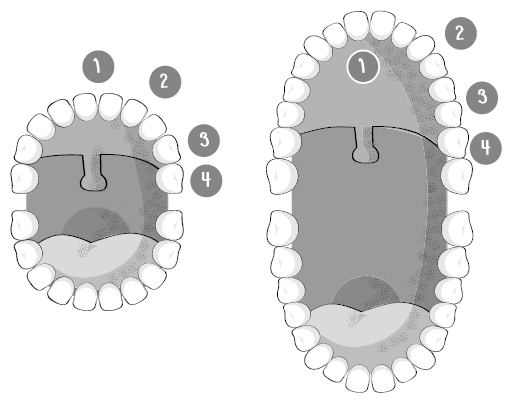 Иллюстрация к книге — Пищеварение. Как у вас с ним? Все о тесной взаимосвязи между нашим здоровьем и тем, что, сколько и когда мы едим [i_003.jpg]
