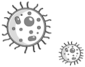 Иллюстрация к книге — Пищеварение. Как у вас с ним? Все о тесной взаимосвязи между нашим здоровьем и тем, что, сколько и когда мы едим [i_013.jpg]