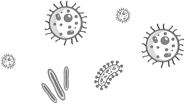 Иллюстрация к книге — Пищеварение. Как у вас с ним? Все о тесной взаимосвязи между нашим здоровьем и тем, что, сколько и когда мы едим [i_016.jpg]