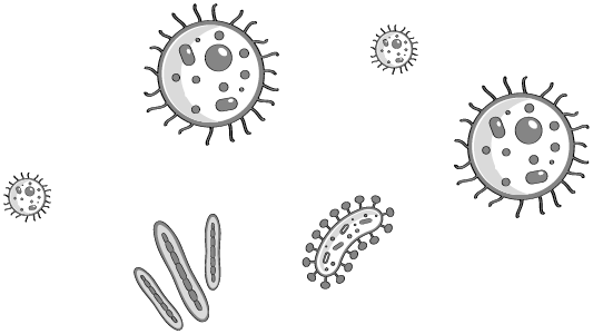 Иллюстрация к книге — Пищеварение. Как у вас с ним? Все о тесной взаимосвязи между нашим здоровьем и тем, что, сколько и когда мы едим [i_026.jpg]