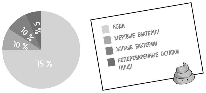 Иллюстрация к книге — Пищеварение. Как у вас с ним? Все о тесной взаимосвязи между нашим здоровьем и тем, что, сколько и когда мы едим [i_044.jpg]