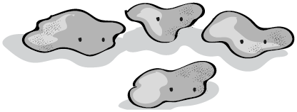 Иллюстрация к книге — Пищеварение. Как у вас с ним? Все о тесной взаимосвязи между нашим здоровьем и тем, что, сколько и когда мы едим [i_050.jpg]