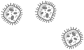 Иллюстрация к книге — Пищеварение. Как у вас с ним? Все о тесной взаимосвязи между нашим здоровьем и тем, что, сколько и когда мы едим [i_060.jpg]