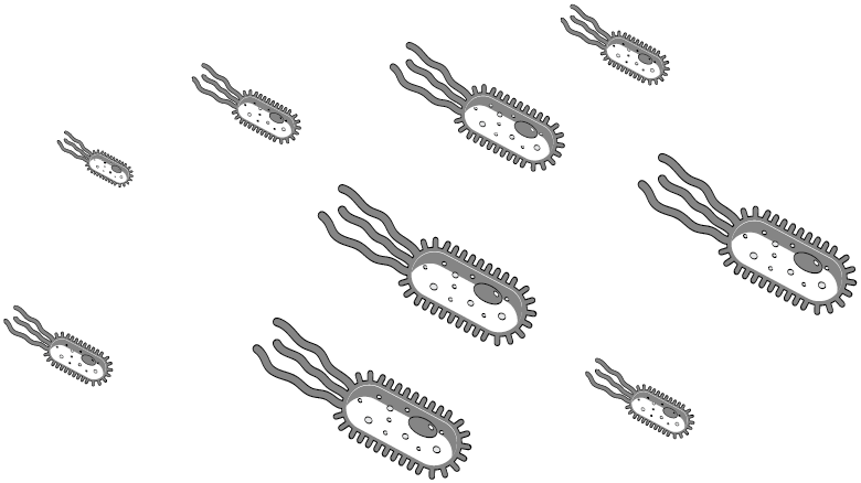 Иллюстрация к книге — Пищеварение. Как у вас с ним? Все о тесной взаимосвязи между нашим здоровьем и тем, что, сколько и когда мы едим [i_071.jpg]