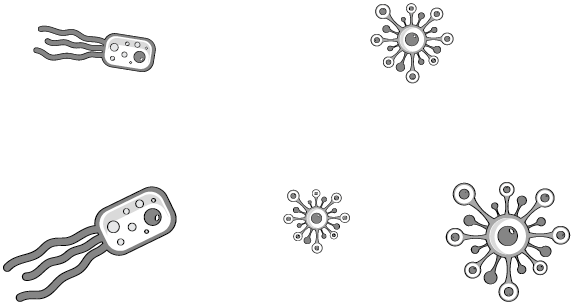 Иллюстрация к книге — Пищеварение. Как у вас с ним? Все о тесной взаимосвязи между нашим здоровьем и тем, что, сколько и когда мы едим [i_078.jpg]