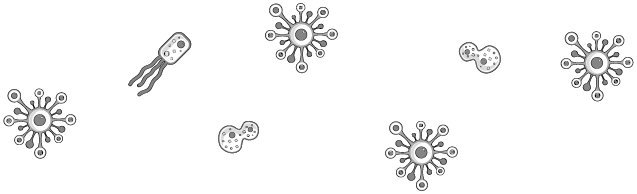 Иллюстрация к книге — Пищеварение. Как у вас с ним? Все о тесной взаимосвязи между нашим здоровьем и тем, что, сколько и когда мы едим [i_081.jpg]