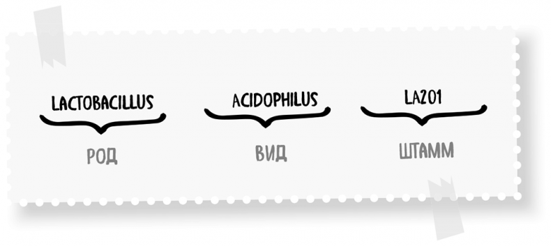 Иллюстрация к книге — Пищеварение. Как у вас с ним? Все о тесной взаимосвязи между нашим здоровьем и тем, что, сколько и когда мы едим [i_082.jpg]