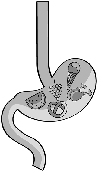 Иллюстрация к книге — Пищеварение. Как у вас с ним? Все о тесной взаимосвязи между нашим здоровьем и тем, что, сколько и когда мы едим [i_085.jpg]