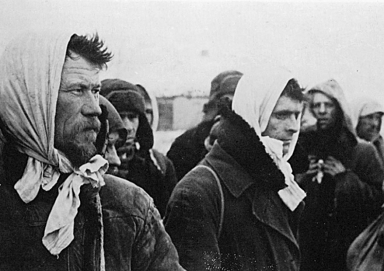 Иллюстрация к книге — Война в немецком тылу. Оккупационные власти против советских партизан. 1941—1944 [i_023.jpg]