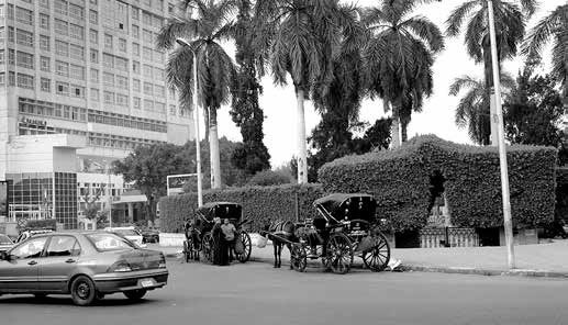 Иллюстрация к книге — Записки странствующего писателя о подводных погружениях и древних цивилизациях [i_017.jpg]