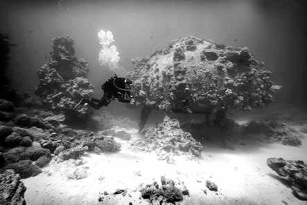 Иллюстрация к книге — Записки странствующего писателя о подводных погружениях и древних цивилизациях [i_024.jpg]