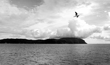 Иллюстрация к книге — Записки странствующего писателя о подводных погружениях и древних цивилизациях [i_029.jpg]