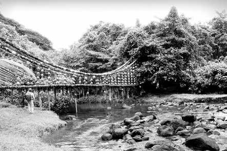 Иллюстрация к книге — Записки странствующего писателя о подводных погружениях и древних цивилизациях [i_042.jpg]