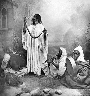 Иллюстрация к книге — Записки странствующего писателя о подводных погружениях и древних цивилизациях [i_060.jpg]