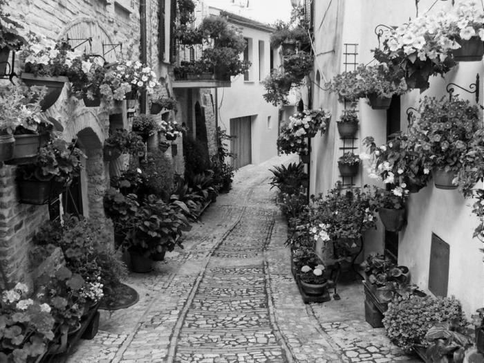 Иллюстрация к книге — Умбрия – зеленое сердце Италии. Тайна старого аббатства и печенье святого Франциска [i_018.jpg]