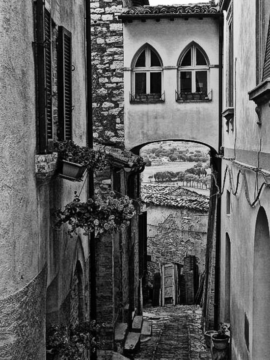 Иллюстрация к книге — Умбрия – зеленое сердце Италии. Тайна старого аббатства и печенье святого Франциска [i_030.jpg]