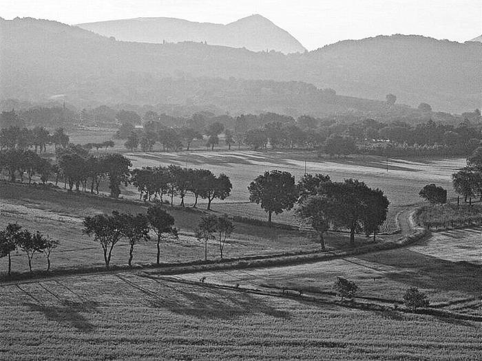 Иллюстрация к книге — Умбрия – зеленое сердце Италии. Тайна старого аббатства и печенье святого Франциска [i_035.jpg]