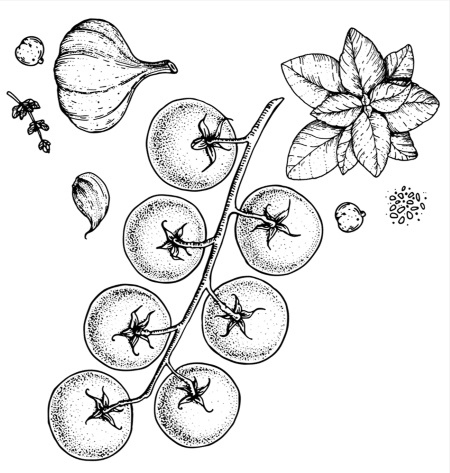 Иллюстрация к книге — Умбрия – зеленое сердце Италии. Тайна старого аббатства и печенье святого Франциска [i_077.jpg]