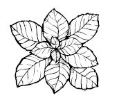 Иллюстрация к книге — Умбрия – зеленое сердце Италии. Тайна старого аббатства и печенье святого Франциска [i_090.jpg]